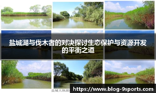 盐城湖与伐木者的对决探讨生态保护与资源开发的平衡之道